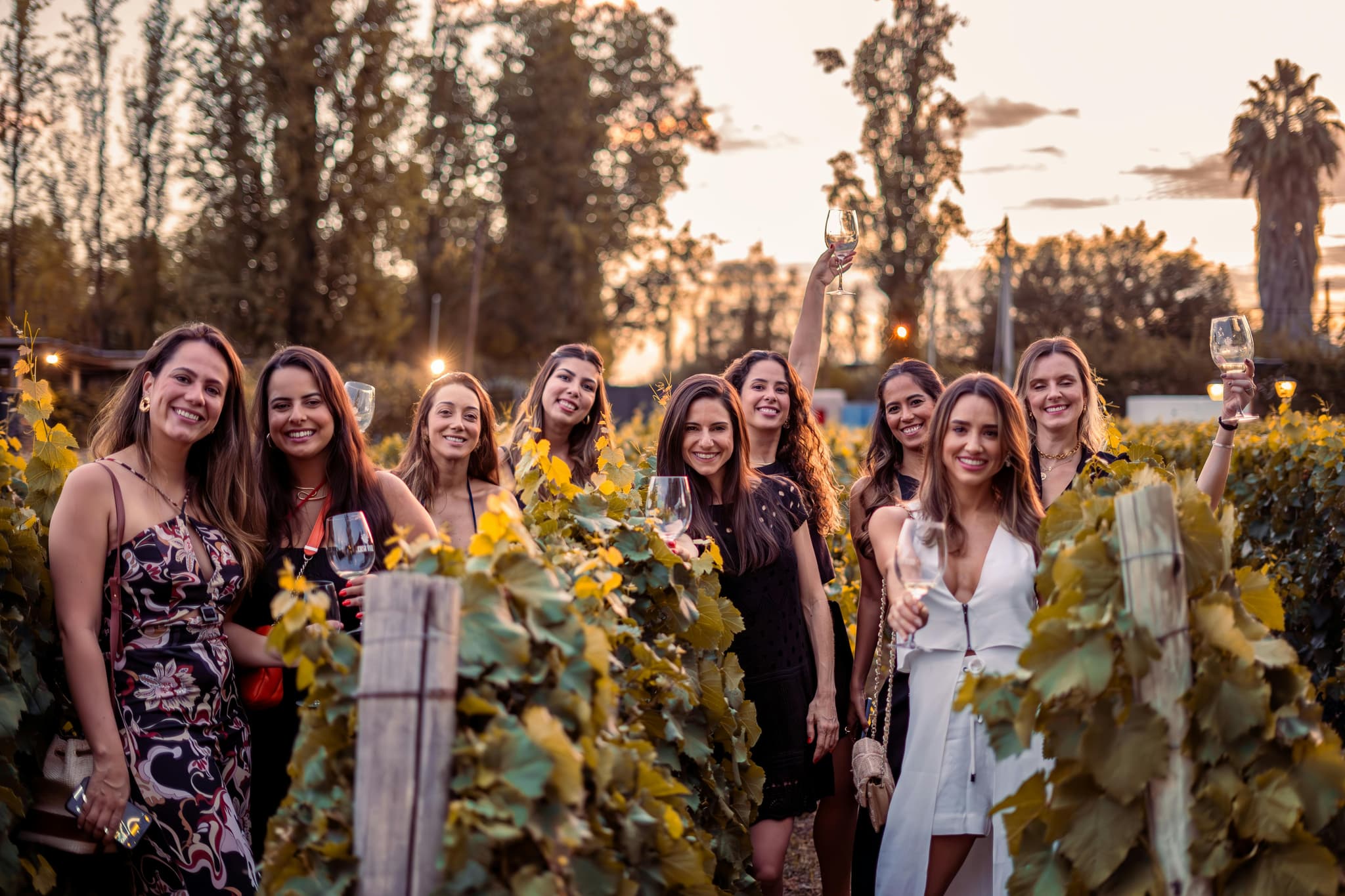 Why Locals Love the Silt Wine Company Winery Membership